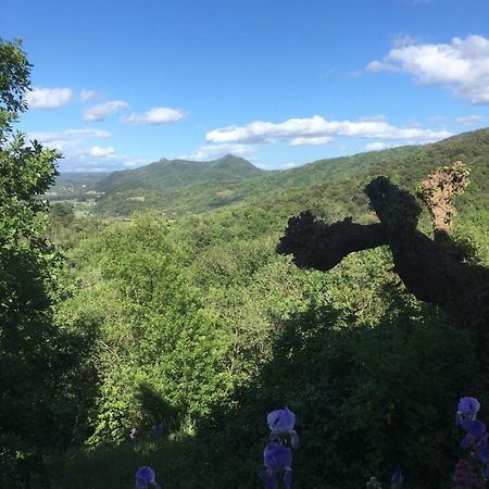 La Petite Adresse De Rose Maison De Vacances Entree Autonome Le Poujol-sur-Orb Dış mekan fotoğraf