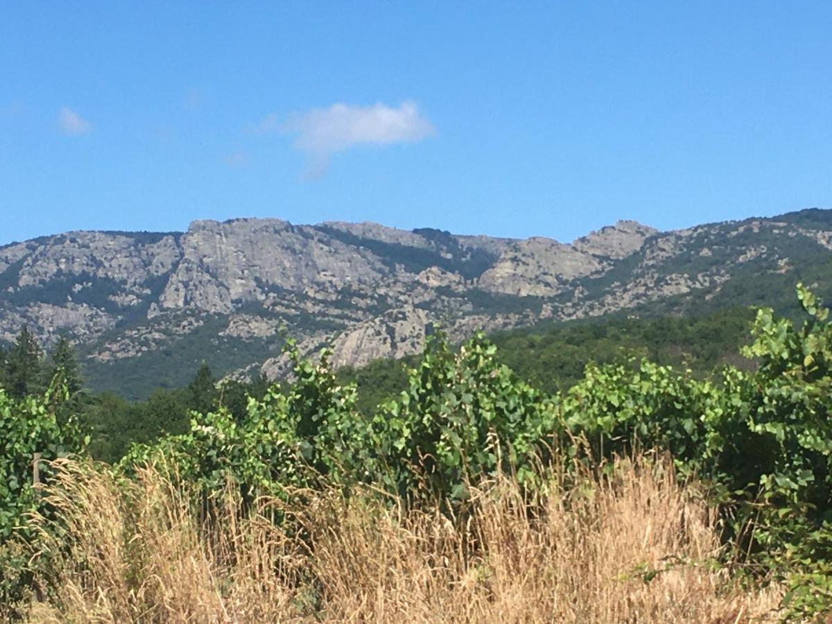 La Petite Adresse De Rose Maison De Vacances Entree Autonome Le Poujol-sur-Orb Dış mekan fotoğraf