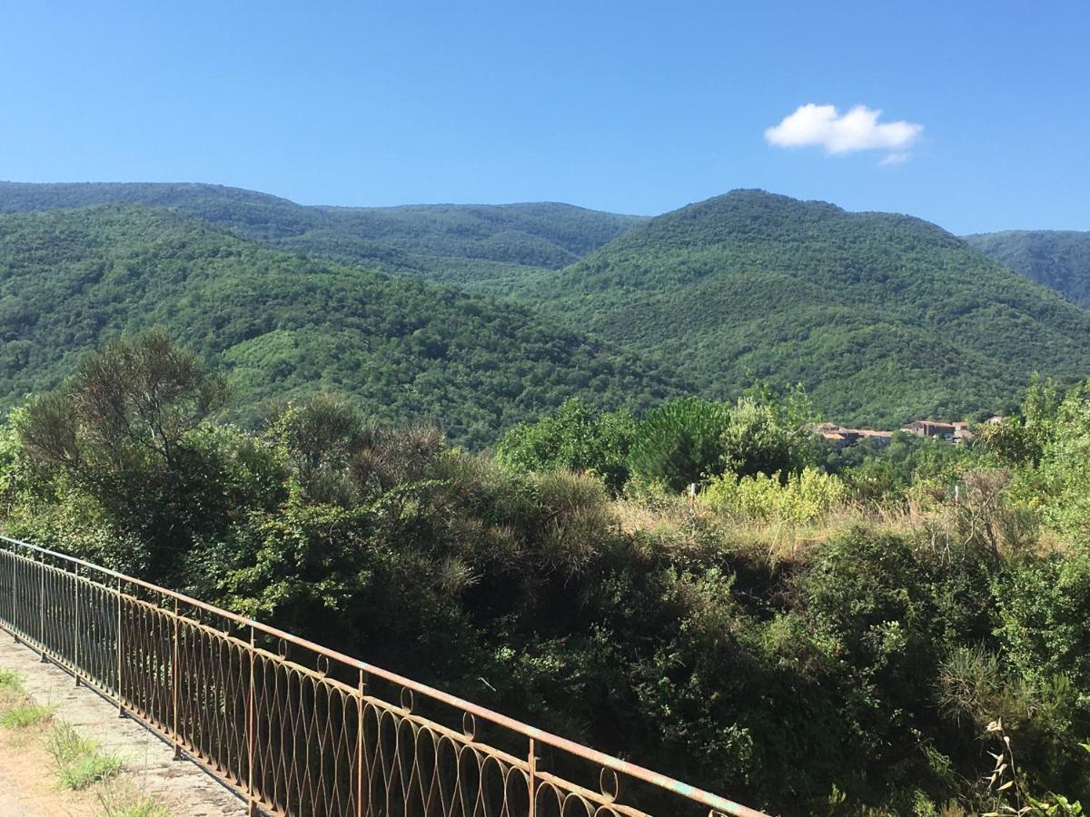 La Petite Adresse De Rose Maison De Vacances Entree Autonome Le Poujol-sur-Orb Dış mekan fotoğraf